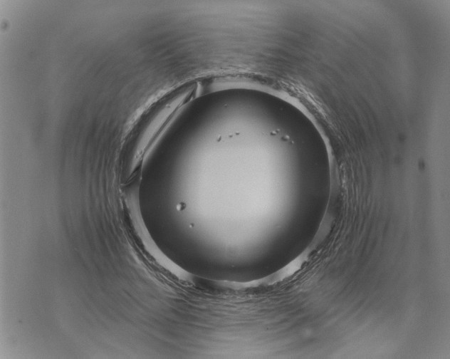 X0000071860684200607141816