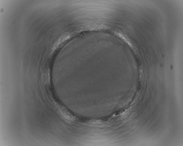 X0000071860685200607141816