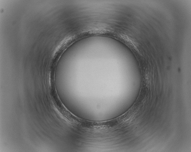 X0000071860686200607141816