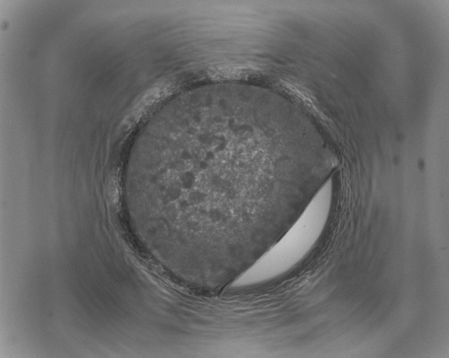 X0000071860687200607141815