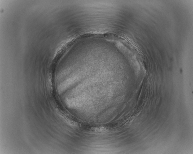 X0000071860688200607141815