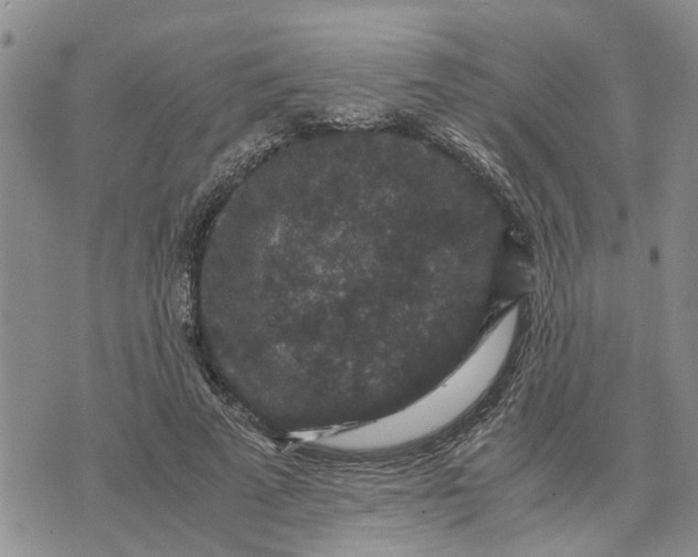 X0000071860689200607141815