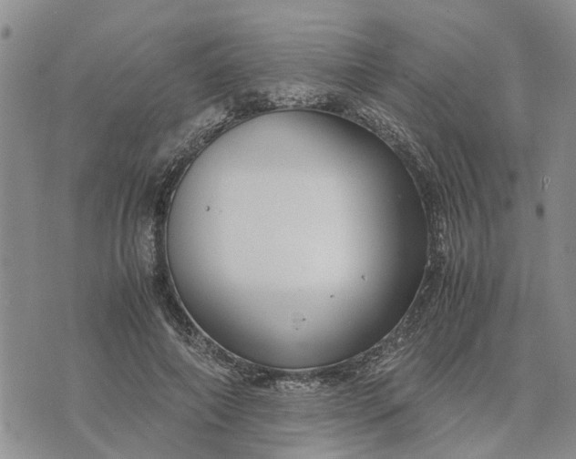 X0000071860690200607141815