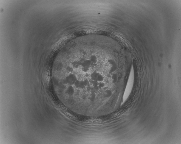 X0000071860691200607141815