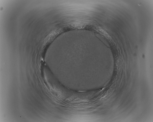 X0000071860693200607141815