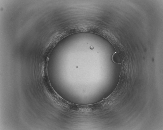 X0000071860694200607141815