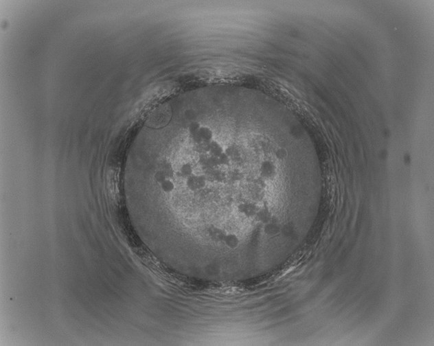 X0000071860695200607141815