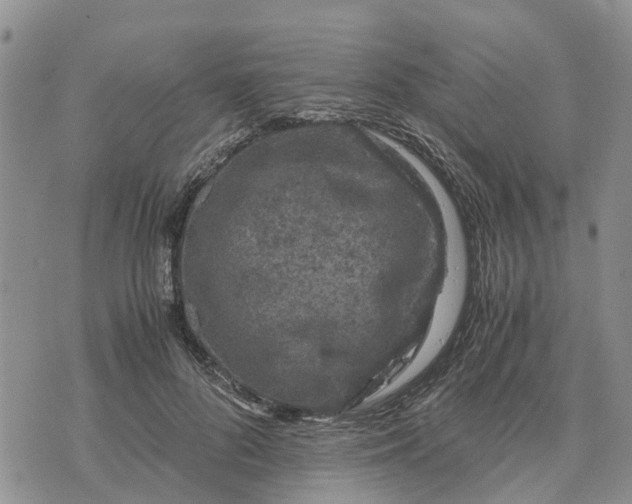 X0000071860696200607141815