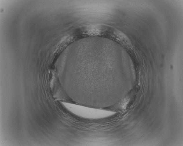 X0000071860697200607141815