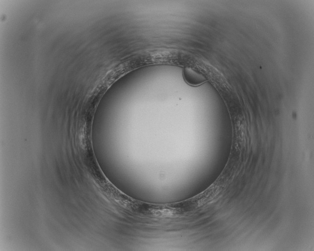 X0000071860698200607141815