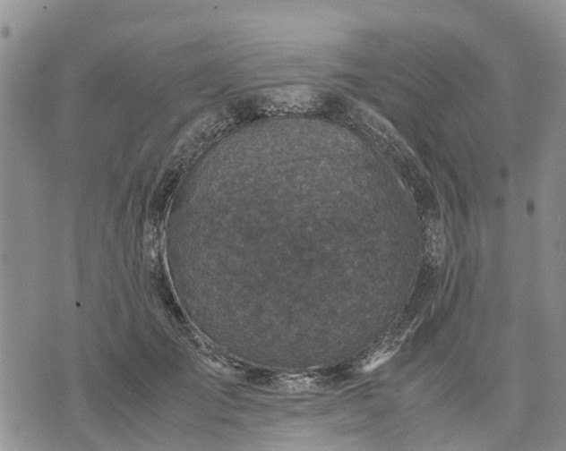 X0000071860701200607141815