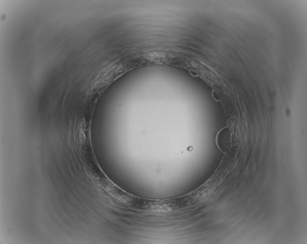 X0000071860702200607141815