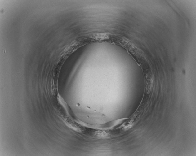 X0000071860704200607141815