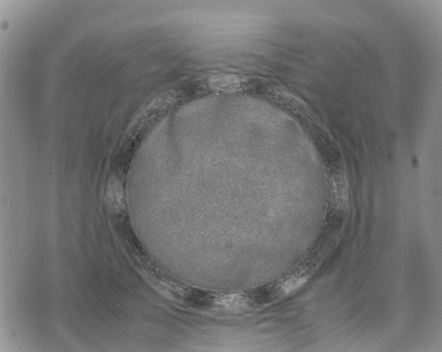 X0000071860705200607141815