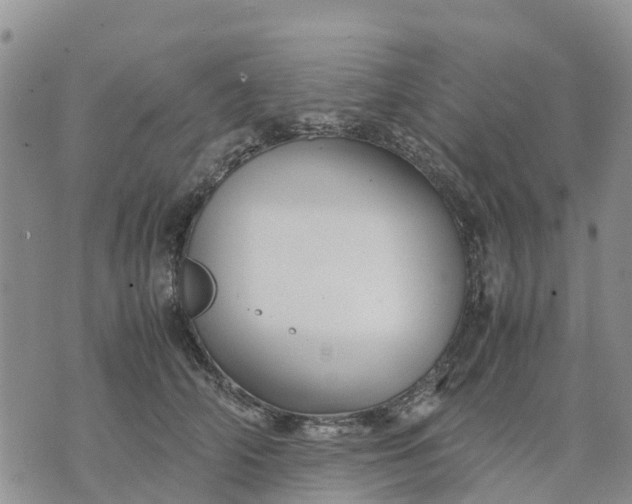 X0000071860706200607141815