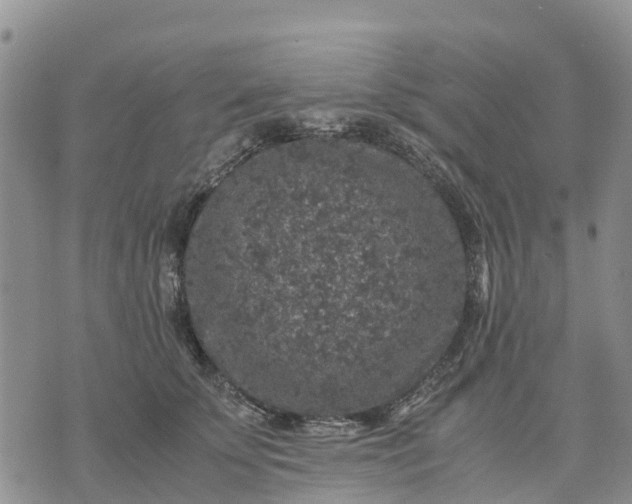 X0000071860707200607141815