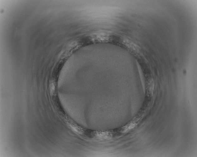 X0000071860709200607141815