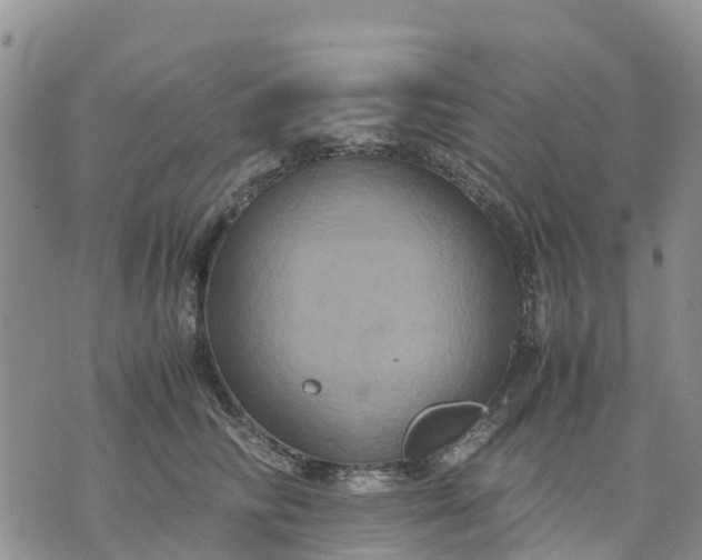 X0000071860710200607141815