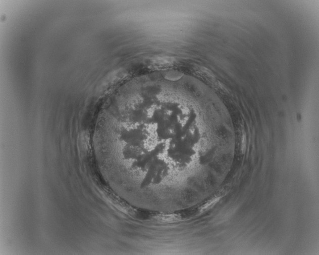 X0000071860711200607141815