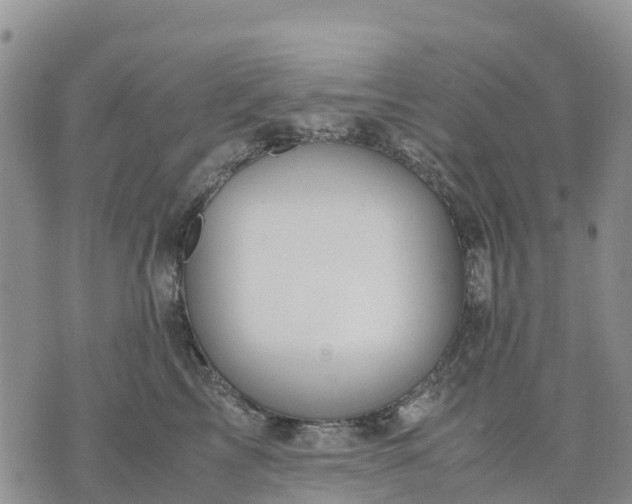 X0000071860713200607141815