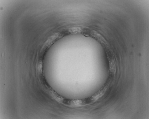 X0000071860717200607141815