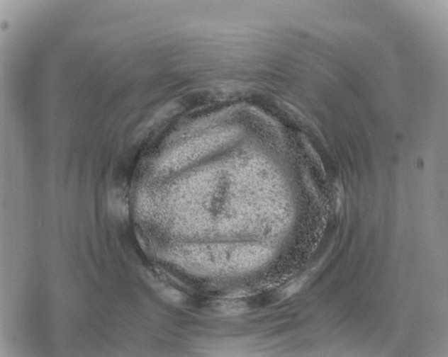 X0000071860719200607141815