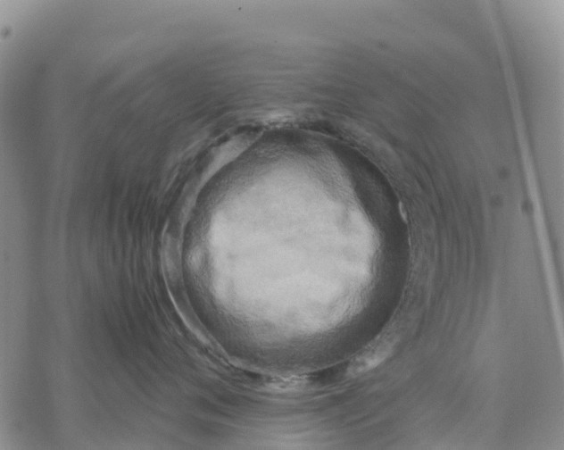 X0000071860720200607141815