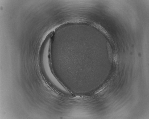 X0000071860724200607141814