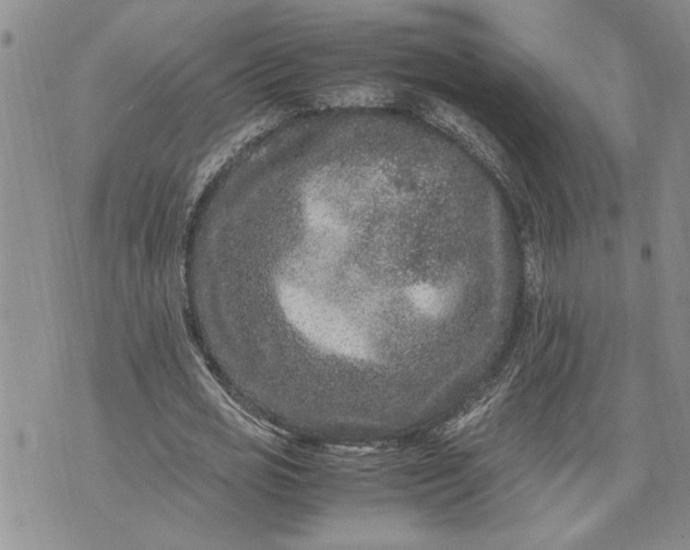 X0000071860725200607141814