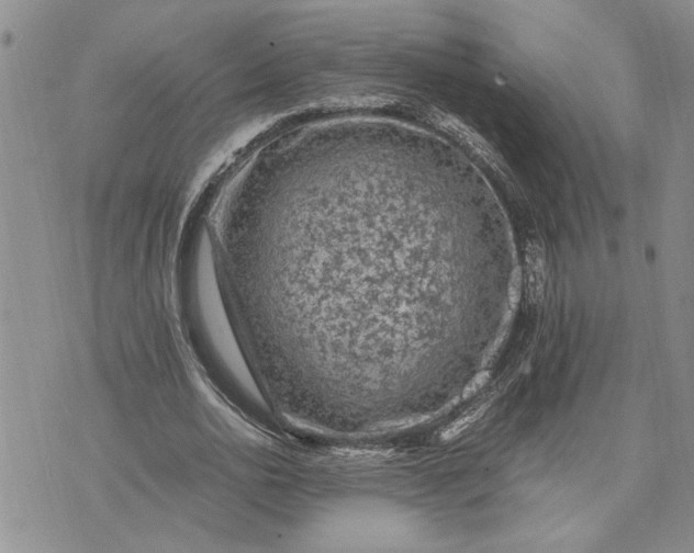 X0000071860726200607141814