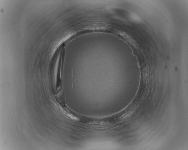 X0000071860727200607141814