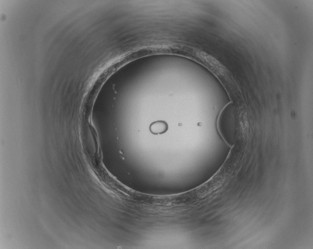 X0000071860728200607141814