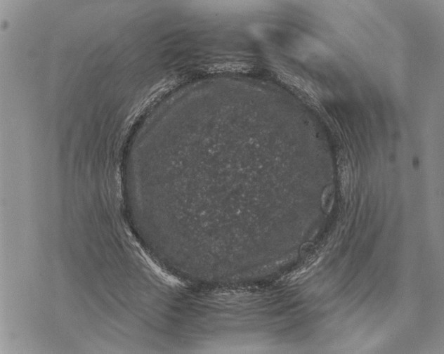 X0000071860729200607141814