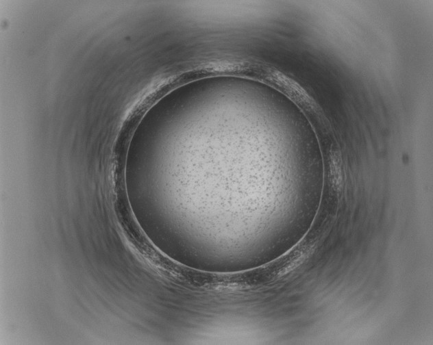 X0000071860730200607141814