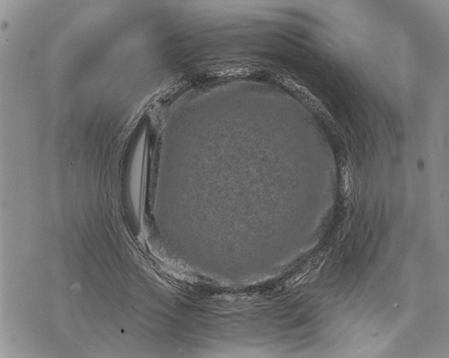 X0000071860733200607141814