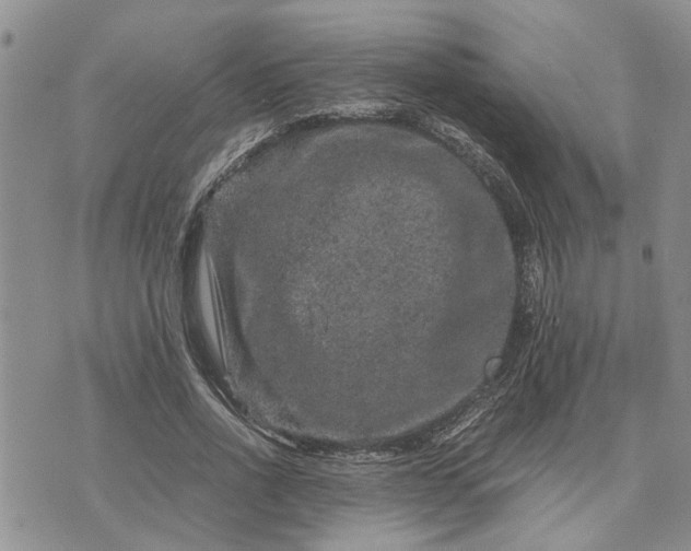 X0000071860734200607141814