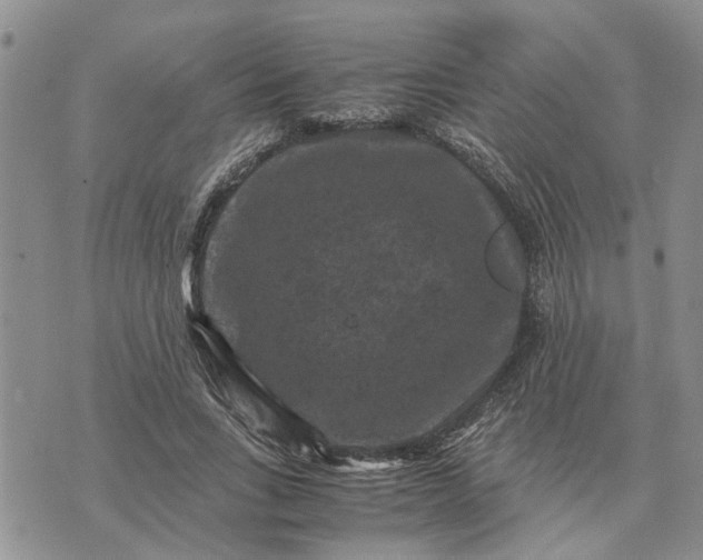 X0000071860735200607141814