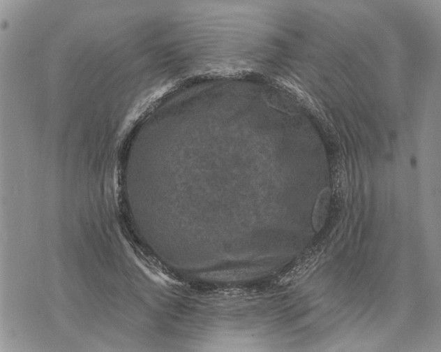 X0000071860736200607141814