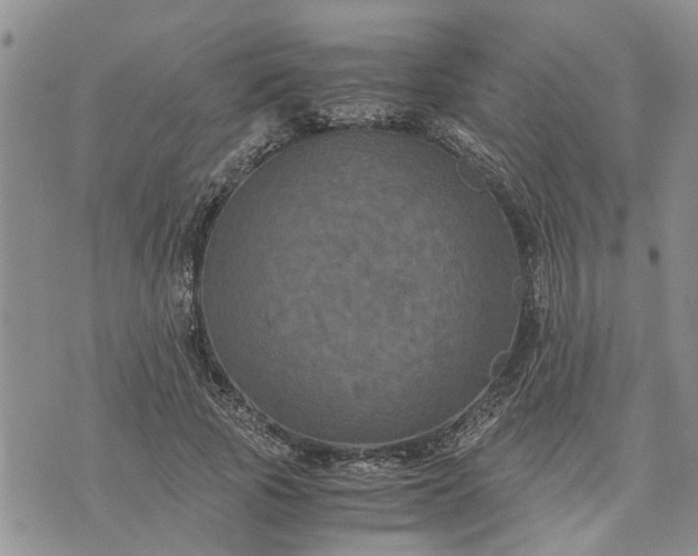 X0000071860737200607141814