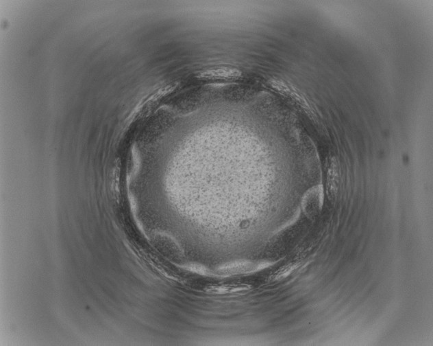 X0000071860739200607141814