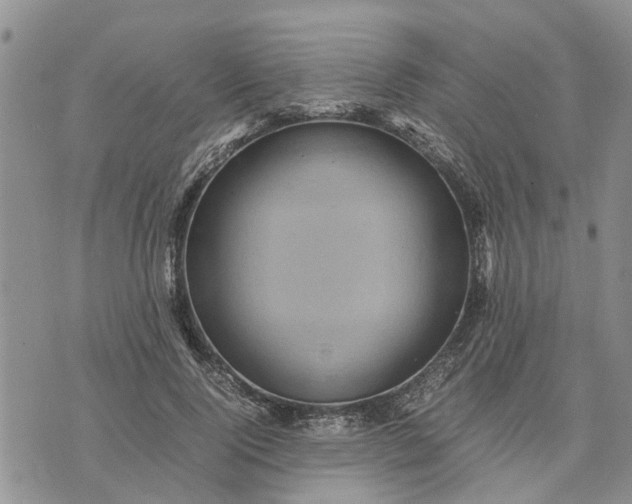 X0000071860740200607141814