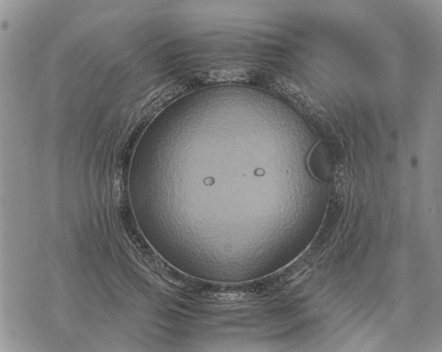 X0000071860741200607141814