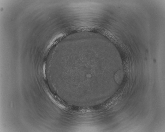 X0000071860742200607141815