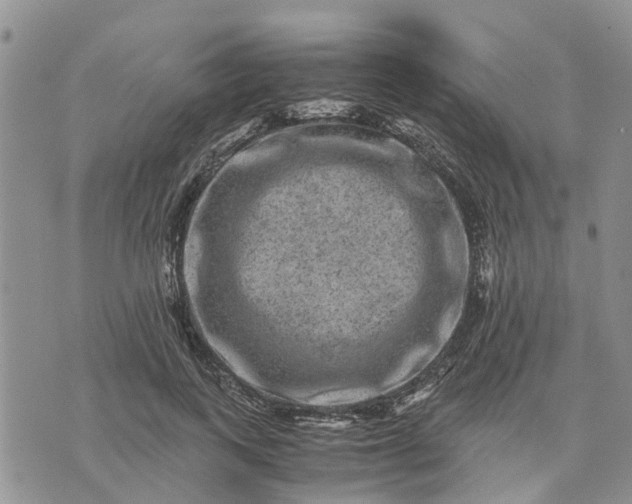 X0000071860743200607141815