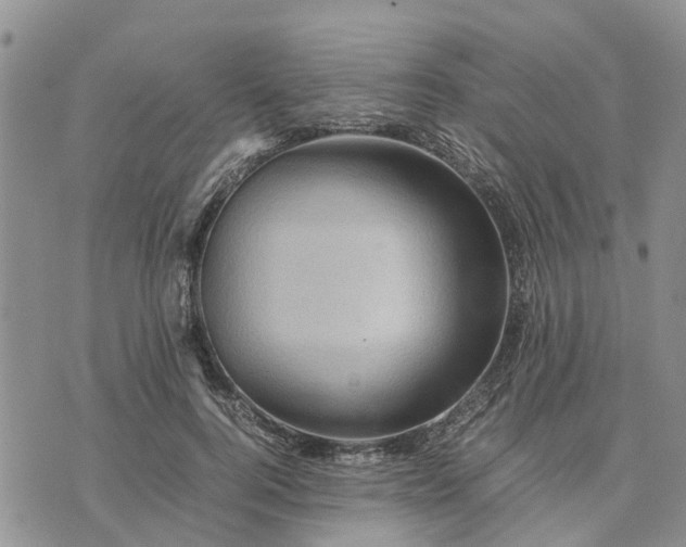 X0000071860744200607141815