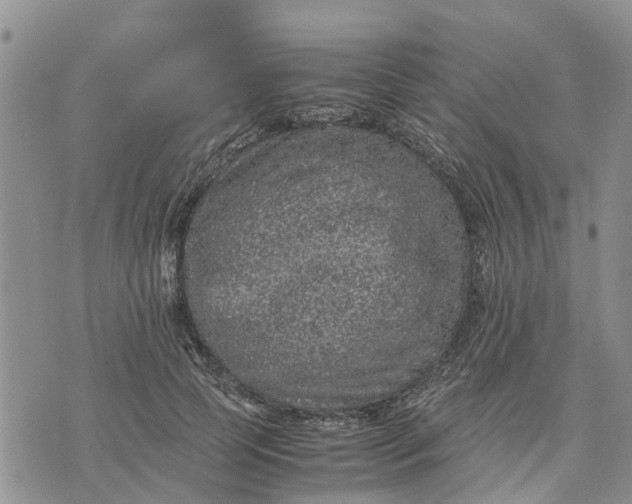 X0000071860745200607141815