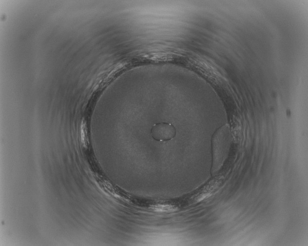 X0000071860748200607141815