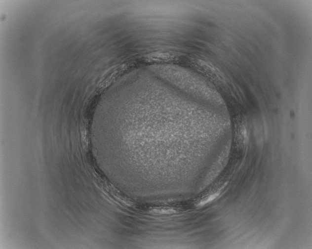 X0000071860749200607141815