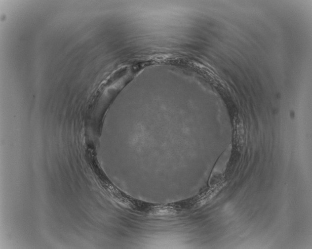 X0000071860750200607141815