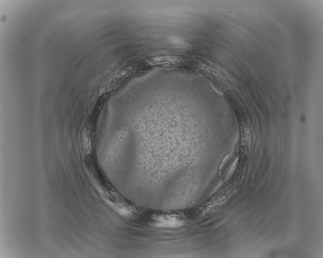 X0000071860751200607141815